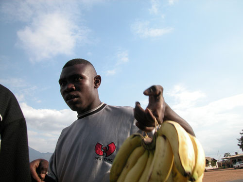 wu tnag world domination